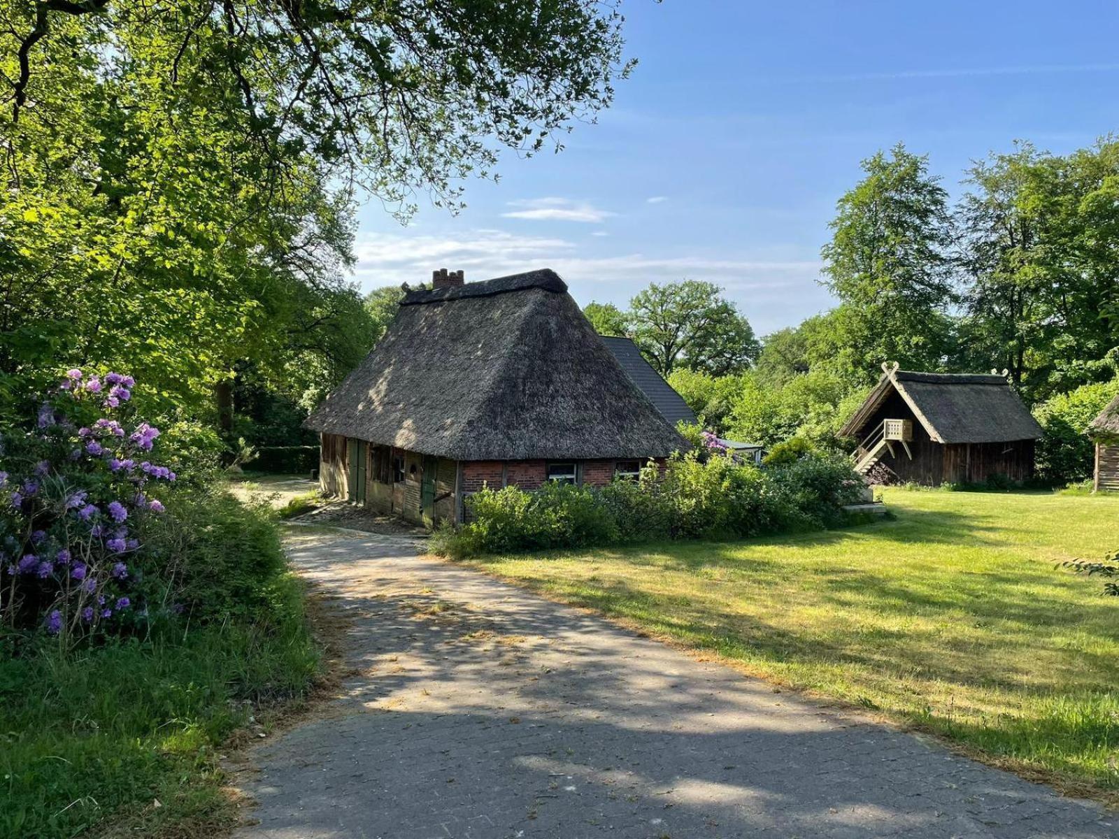 Heidehof Oberhaverbeck Villa Bispingen Exterior foto